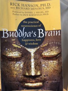 Buddha's Brain book