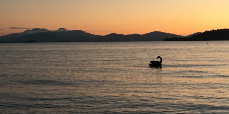 Resolving Hurt Peaceful Lake Taupo